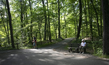 Loantaka Park Trail 