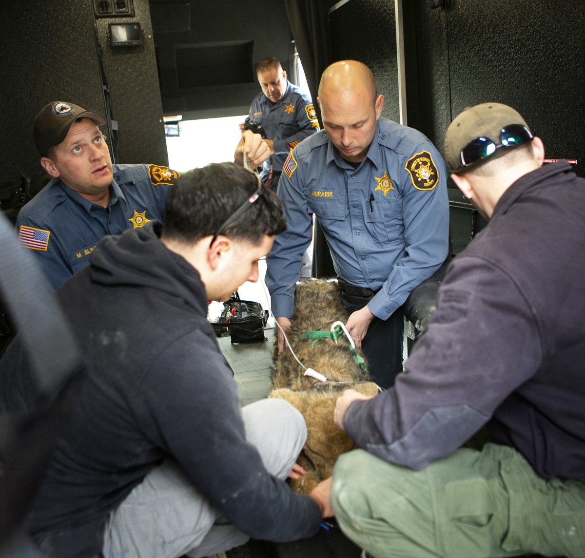 2022_MC_K9_medical_training_03_1200px.jpg