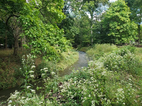 Watnong Brook in Morris Plains.jpg