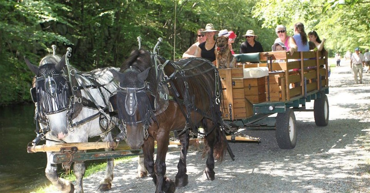 50th Canal Day Music & Craft Festival scheduled for August 24 – Morris County, NJ