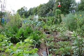 A community garden in Morris County