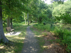 photo of Foote's Pond/Loyola property trail