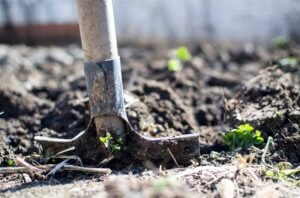 photo showing shovel digging into garden