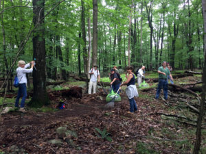 photo of a group of trail volunteers at work in the woods