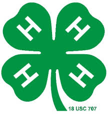 4H logo