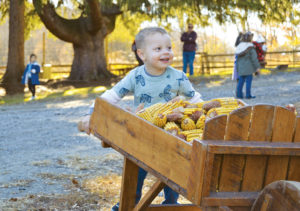 boy pushes wooden wheelbarrow with corn