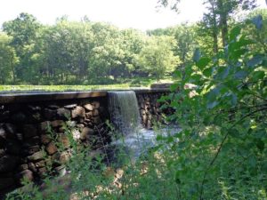 A section of Leddell Preserve in Mendham Twp. was approved for a preservation grant in 2018.