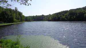 photo of Maiers Pond at Turkey Brook