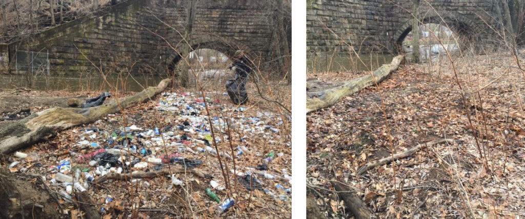 Before and After photo of a field near the river