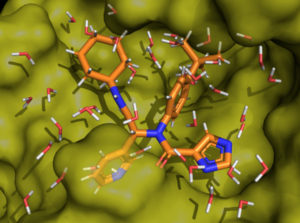 Graphic of a COVID-19 Protein