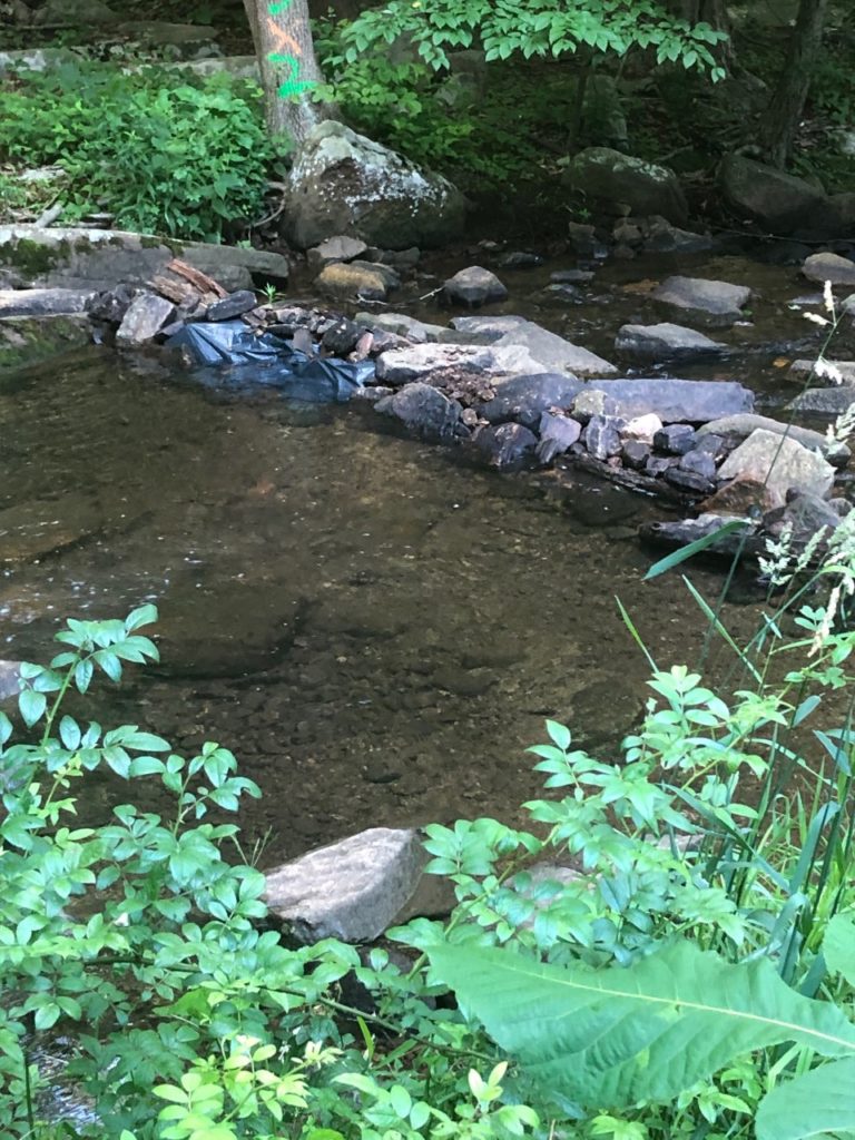 Dam created on Jackson Brook to create a swimming hole